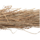 ΔΙΑΚΟΣΜΗΤΙΚΟ ΔΕΝΤΡΟ TROPIC HM4322 τ.ΦΟΙΝΙΚΑ ΑΠΟ MENDONG GRASS 360Yεκ.