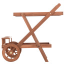 ΔΙΣΚΟΣ ΣΕΡΒΙΡΙΣΜΑΤΟΣ ΣΕ ΤΡΟΛΕΥ ALFRED HM4579 ΞΥΛΟ TEAK--ΦΥΣΙΚΟ 86x56x80Υεκ.