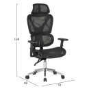 ΚΑΡΕΚΛΑ ΓΡΑΦΕΙΟΥ NOVAR HM1217.01 ΜΑΥΡO MESH--ΒΑΣΗ ΧΡΩΜΙΟΥ 51x49x129Υεκ